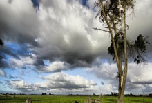 乐鱼体育app-蛰伏后的锋芒，保罗关键先生本色，黄蜂硬仗力克广厦